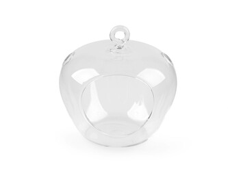 Aerárium / skleněné jablko - 1 ks - 2 transparent