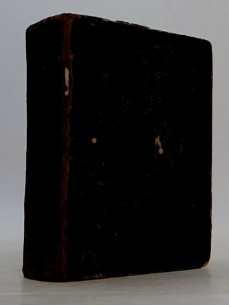 Královna Dagmar I.: Na cizím chlebě (historický román)