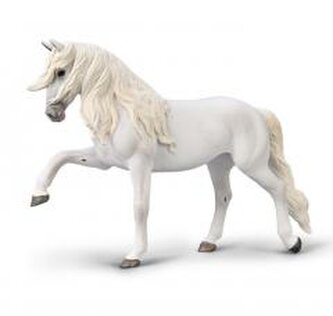 Klacz lipicańska chód hiszpański