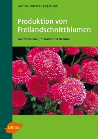 Produktion von Freilandschnittblumen
