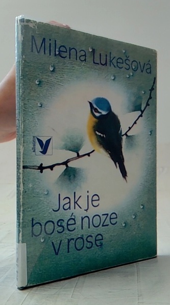 Jak je bosé noze v rose