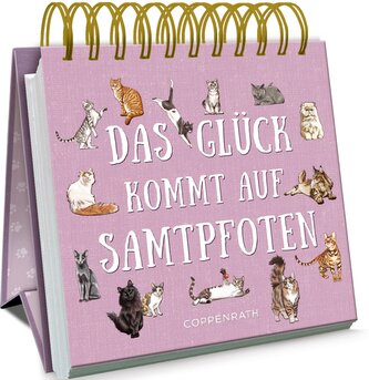 Das Glück kommt auf Samtpfoten