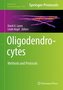 Oligodendrocytes