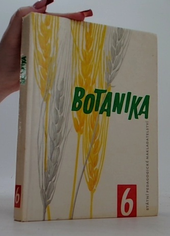 Botanika pro šestý ročník základních devítiletých škol