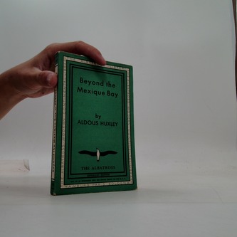 Beyond the mexique Bay