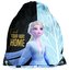 Worek na buty Frozen DOI-712 PASO