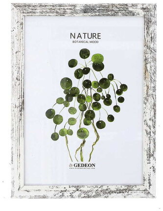 Ramka drewniana 13x18cm D113, Gedeon