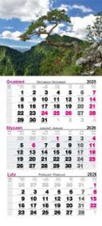 Kalendarz 2026 ścienny trójdzielny Pieniny