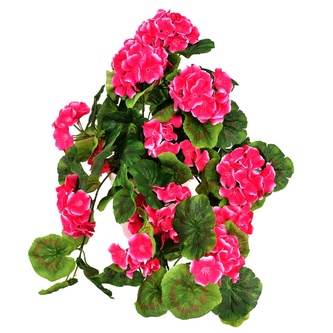 Muškát převislý růžový v keramickém květináči 50×35 cm