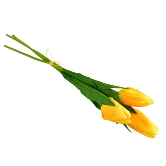 Svazek 3 ks tulipánů žluté 50 cm