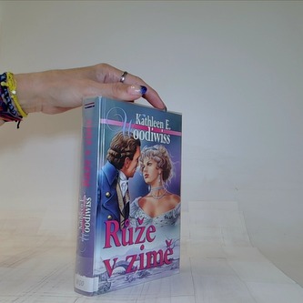 Růže v zimě