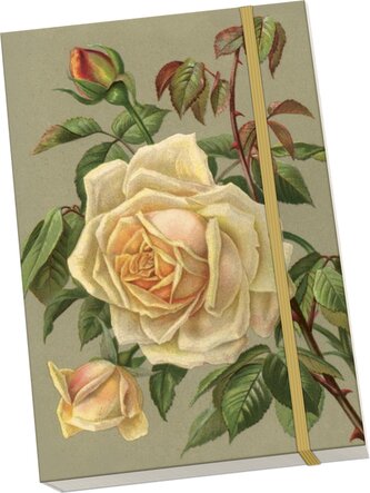 Notýsek Yellow Roses