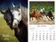 Kalendarz 2026 ścienny Konie