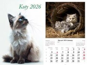 Kalendarz 2026 ścienny Koty