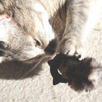 Nobby hračka kočka Hračka s kroužkem 11 cm