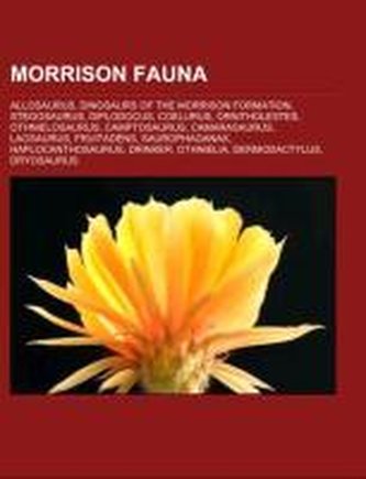 Morrison fauna