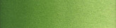 Akvarelová barva Old Holland 1/2 – 050 Chromium Oxide Green
