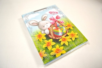 TOREBKA PREZ.T-2L 10SZT