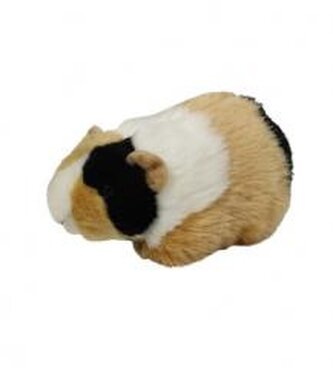 ŚWINKA MORSKA ŁACIATA 20CM 30894