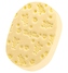 GĄBKA DO KĄPIELI 063