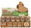 Temperówka Capybara (24szt)