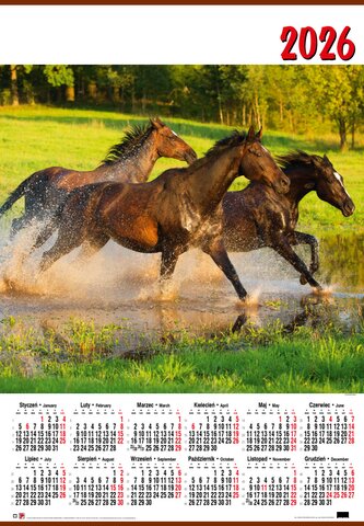 Kalendarz ścienny jednoplanszowy B1 nr 1 Konie 2026 darmowa wysyłka od 30szt (poniżej tej ilości wysyłka na koszt klienta) dopuszczalne mieszanie wzorów