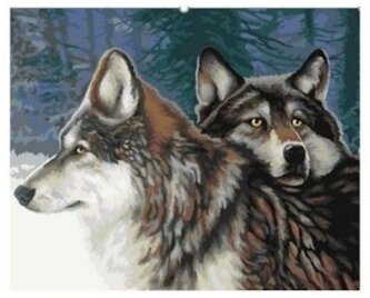 Malowanie po numerkach 40x50cm Wilki dwa w zimowym lesie, Norimpex
