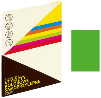Etykiety samoprzylepne A4 zielone 1 szt. x 100 ark. 063, Grand