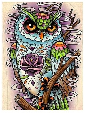 Malowanie po numerkach 40x50cm Sowa z rysunkami kwiatów abstrakcja, Norimpex