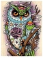 Malowanie po numerkach 40x50cm Sowa z rysunkami kwiatów abstrakcja, Norimpex