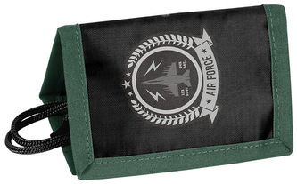 Portfel Samolot PP25MP-002, Paso