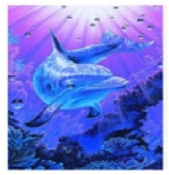 Malowanie po numerkach 40x50cm Delfin w głębinach, Norimpex