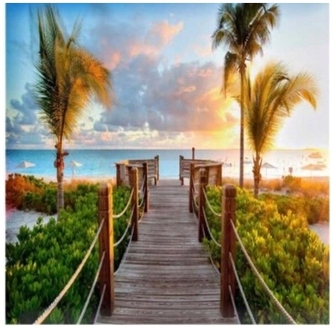 Malowanie po numerkach 40x50cm Pomost, palmy, Norimpex