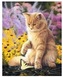 Malowanie po numerkach 40x50cm Kot z motylkiem zabawa, pastele, Norimpex