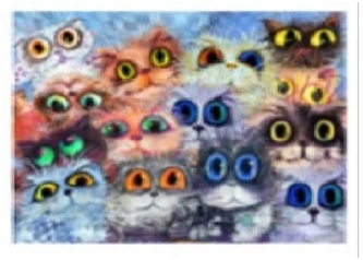 Malowanie po numerkach 40x50cm Koty, Norimpex