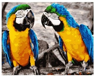 Malowanie po numerkach 40x50cm Papugi dwie rozmowa, Norimpex