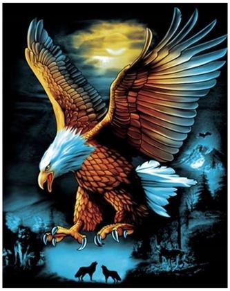 Malowanie po numerkach 40x50cm Orzeł nocą, Norimpex