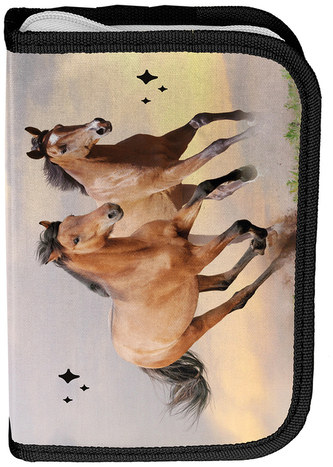 Piórnik bez wyposażenia Konie PP25HA-P001BW, Paso