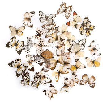 Naklejki pet wróżki 6 arkuszy - rainbow, Dp Craft