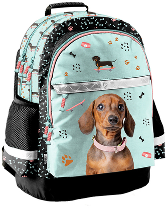 Plecak Dog PP25JA-116, Paso