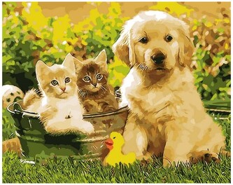 Malowanie po numerkach 40x50cm Zwierzątka szczeniak, kotki w wanience w ogrodzie, Norimpex