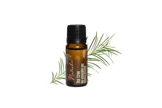 Natasha Esenciální olej BIO (10 ml) - Tea Tree