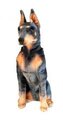 Doberman 65 cm