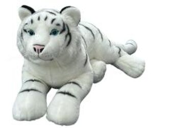 Tygrys biały 70cm 4szt/k