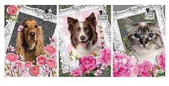 Teczka z gumką Cleo i Frank DERFORM