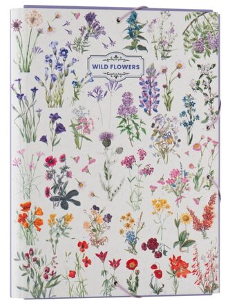 Složka s klopami Luční květiny: Druhy květin (26 x 34 x 2 cm)