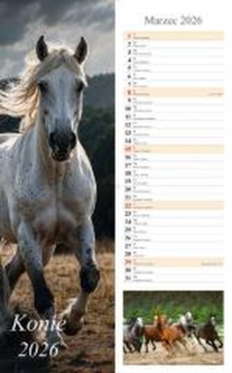 Kalendarz 2026 ścienny pasek Konie