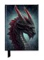 Premium Notizbuch DIN A5: Kerem Beyit, Wilder Drachen