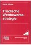 Triadische Wettbewerbsstrategie