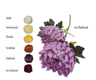 Chryzantéma tm. fialová 70 cm